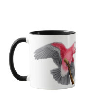 Rose Breasted Cockatoo Galah Tasse