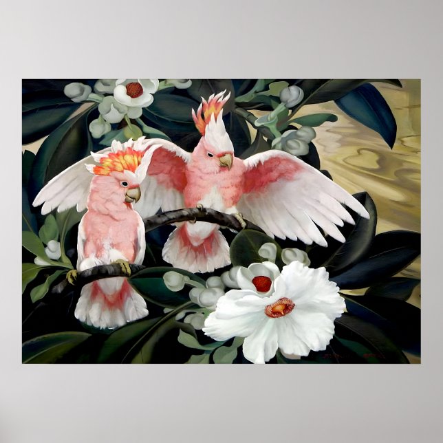 Rose Breasted Cockatoos von Jessie Arms Botke Poster (Vorne)