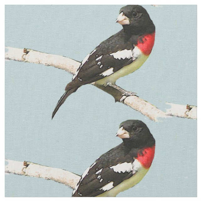 Rose-Breasted Grosbeak Fabric Stoff (Nahaufnahme)