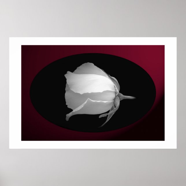 Rose Bud (Schwarz & Weiß) Poster (Vorne)