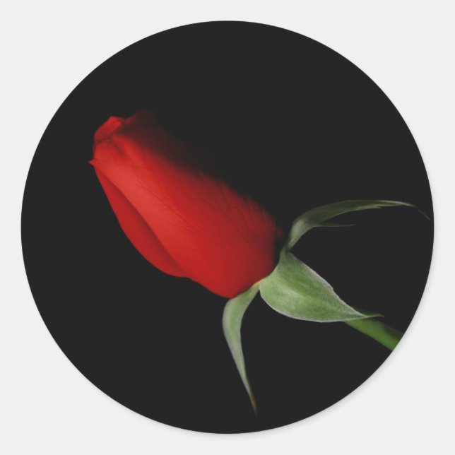 Rose Bud Stickers - Hochzeitlicher Umschlag Aufkle (Vorderseite)