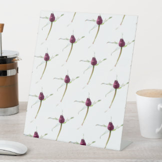 Rose Buds,  Sockelschild