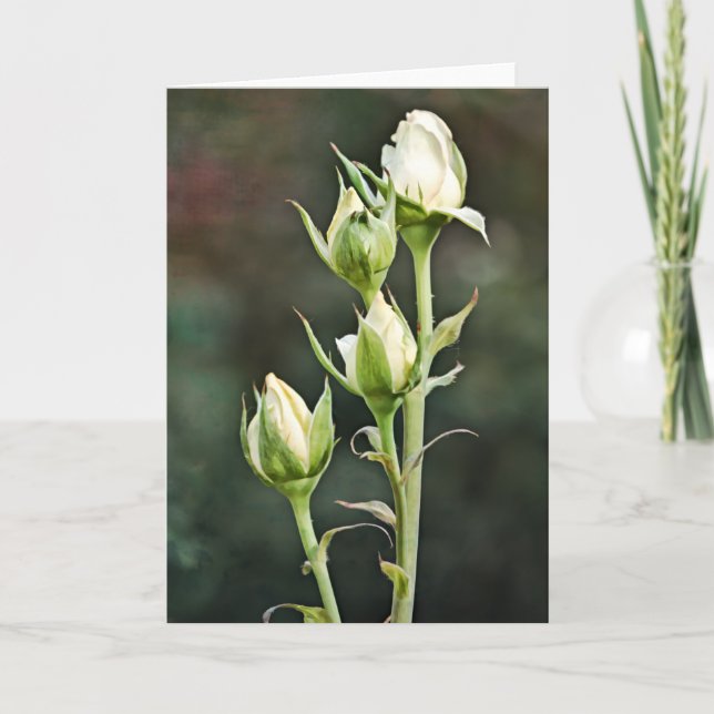 Rose Bug Bunch Art Note Card Karte (Vorderseite)