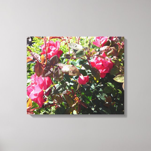 Rose Bush Leinwanddruck (Vorderseite)