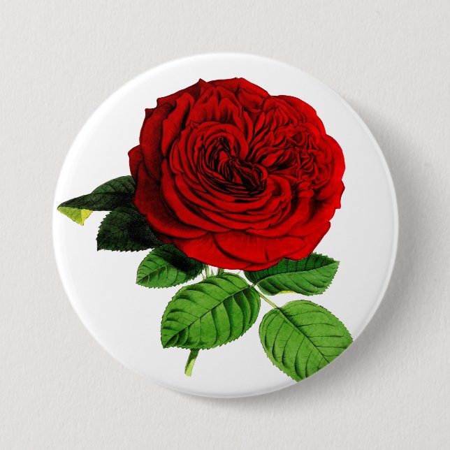 Rose Button (Vorderseite)