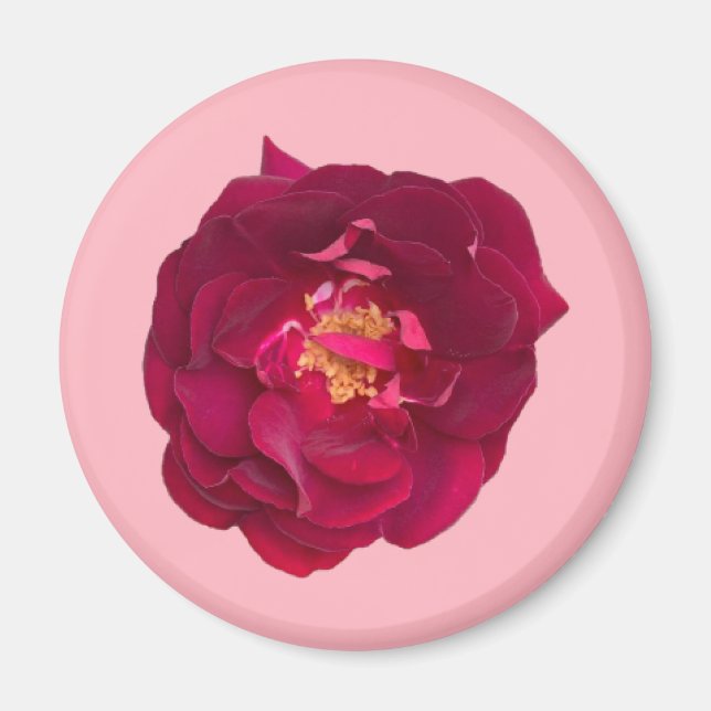 ROSE C MAGNET (Vorne)