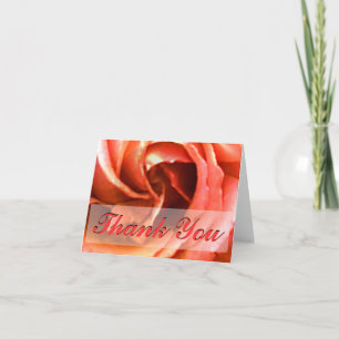 Rose Canterbury Vielen Dank für die MUSEUM Zazzle  Dankeskarte