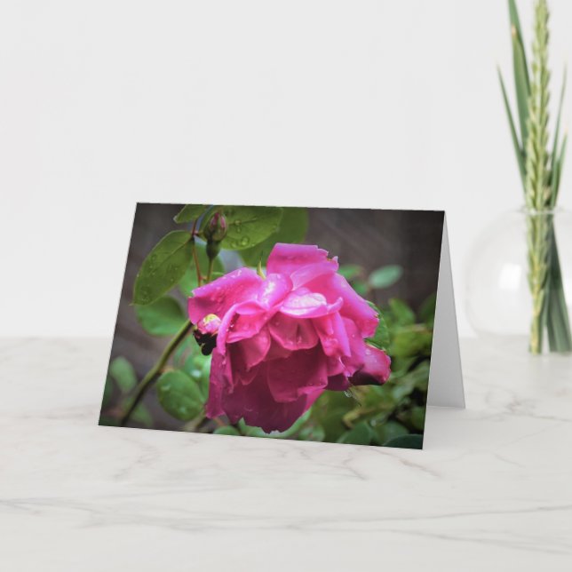 Rose, carte (Devant)