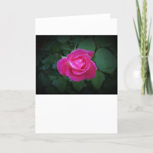 Rose, carte
