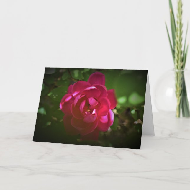 Rose, carte (Devant)