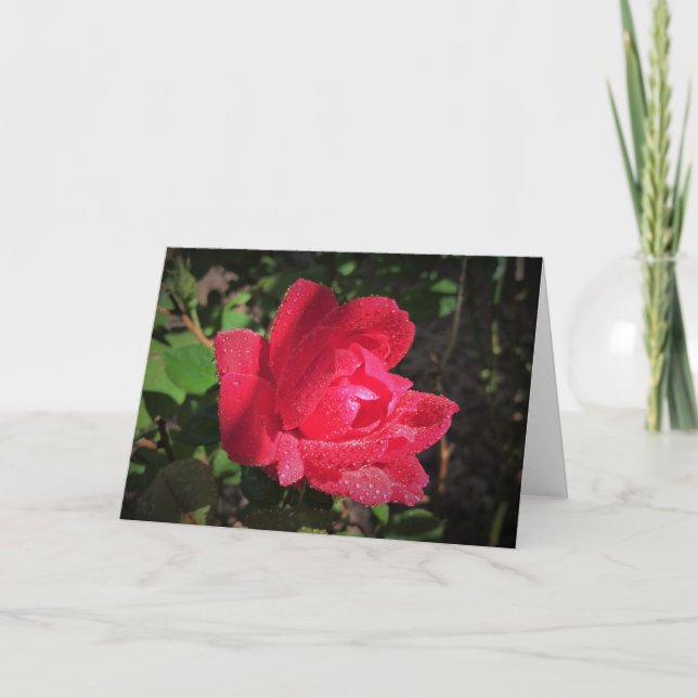 Rose, carte (Devant)