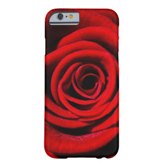 Rose Barely There iPhone 6 Hülle
