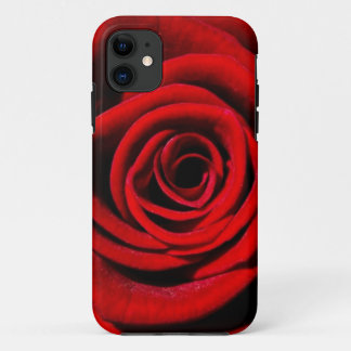Rose title_seo2