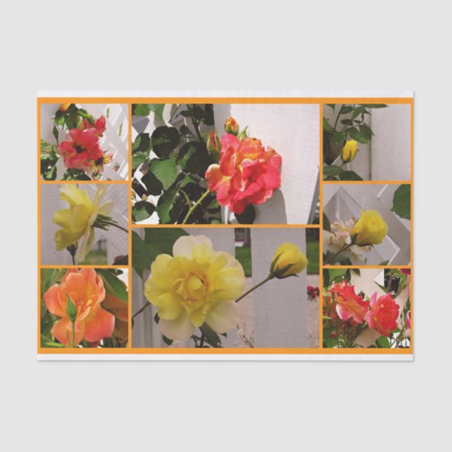 Rose Collage zeichnet das Katzengewebe Seidenpapier (Vorderseite)