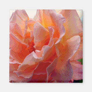 Rose Color Expression Square Magnet