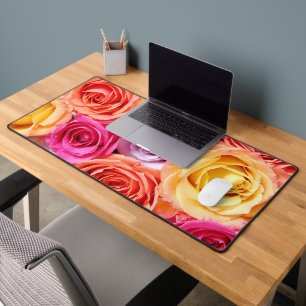 Rose coloré