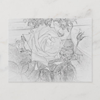 Rose Coloring Sheet Postcard Postkarte