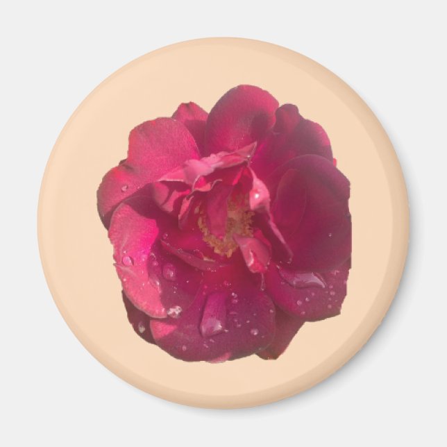 ROSE D MAGNET (Vorne)