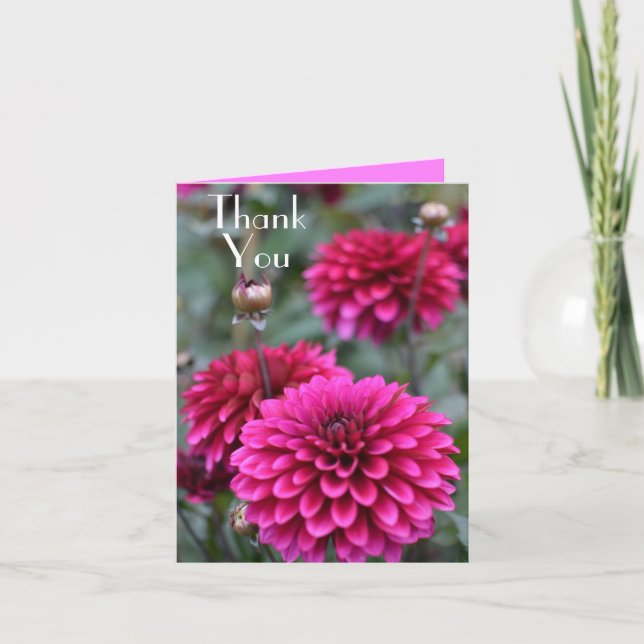 Rose Dahlia Floral Photographie Merci Salutation (Devant)