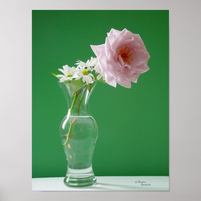Rose Daisies Poster (Vorne)