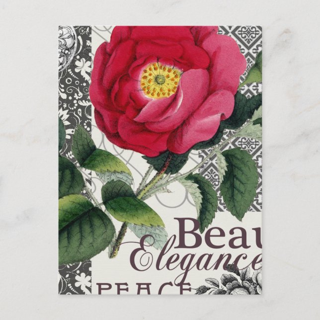 Rose Damask Hübsche Blumenantik Postkarte (Vorderseite)