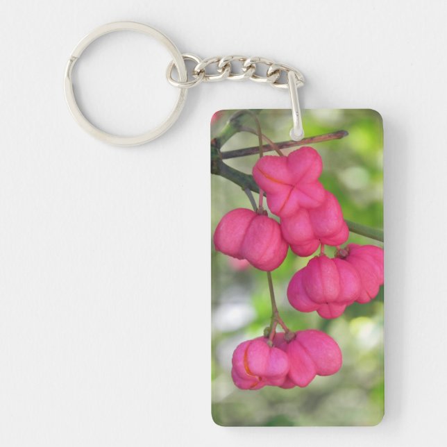 Rose de baies d'axe (Devant)