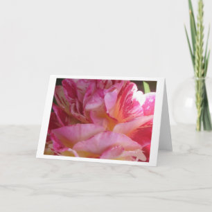 Rose de battement rose pétale ou cartes de voeux o