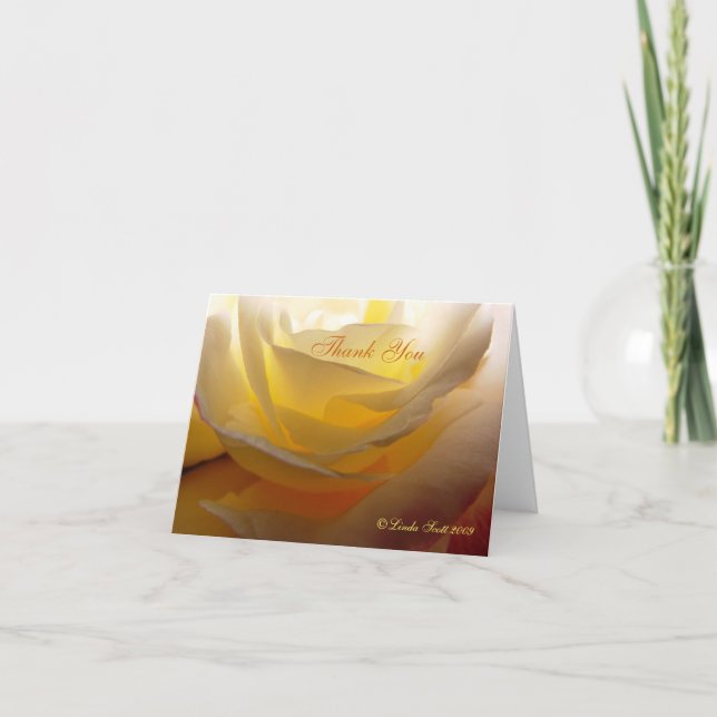 Rose de LindasDD allumé par dos, merci conception (Devant)