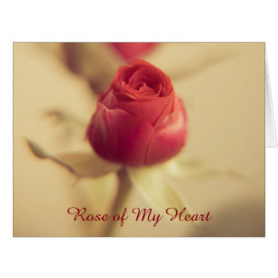 Rose de mon coeur