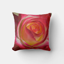 Rose de paix gros-up Lance Oreiller
