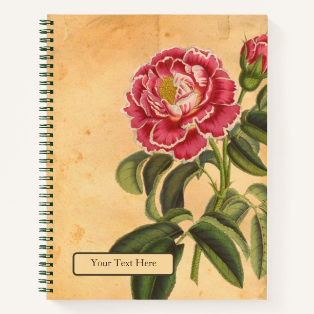 Rose de Provence Spiral Notebook Notizbuch (Vorderseite)
