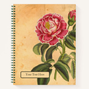 Rose de Provence Spiralblock Notizbuch