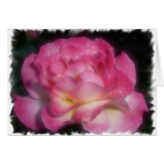 Rose de rose