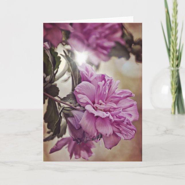 Rose de Sharon Sun Scripture Numéro de carte 6:25 (Devant)