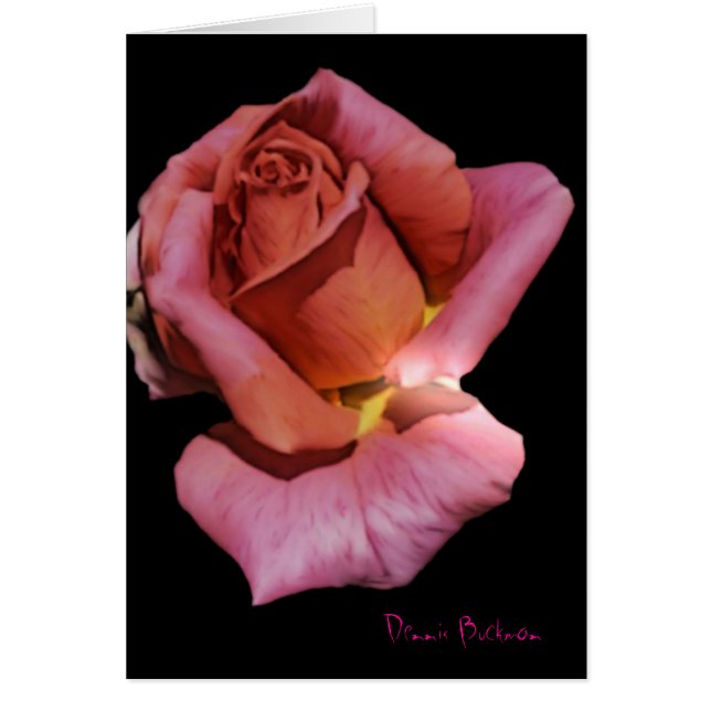 Rose de solitude (Devant)