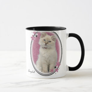 rose de tasse de ragdoll