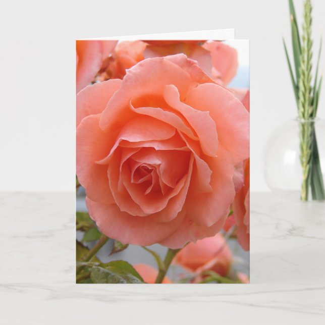 Rose der Freundschaft Karte (Vorderseite)
