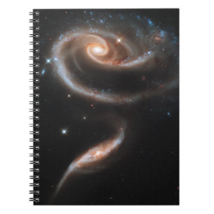 Rose der Galaxien Notizblock