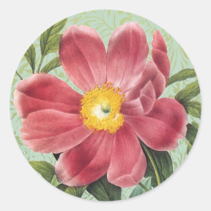 Rose der Liebe Blumenaufkleber Umschlag Aufkleber