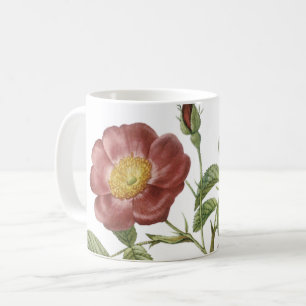 Rose der Liebe (Rosa pumila) von Redouté Kaffeetasse