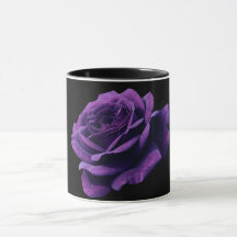 Rose der Liebe