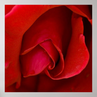Rose der Raute Poster