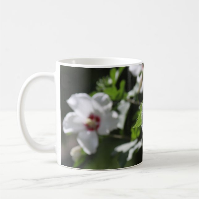 Rose der Tasse Sharon (Links)