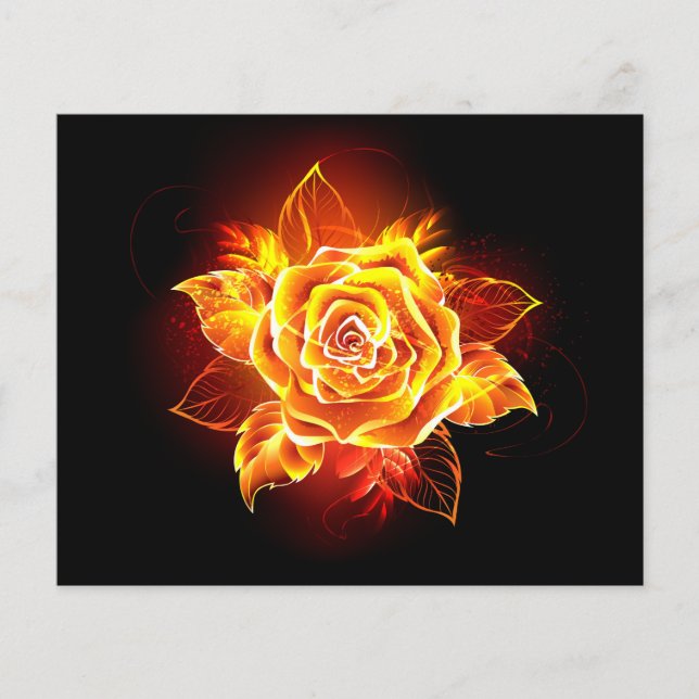 Rose des blühenden Feuers (Vorderseite)