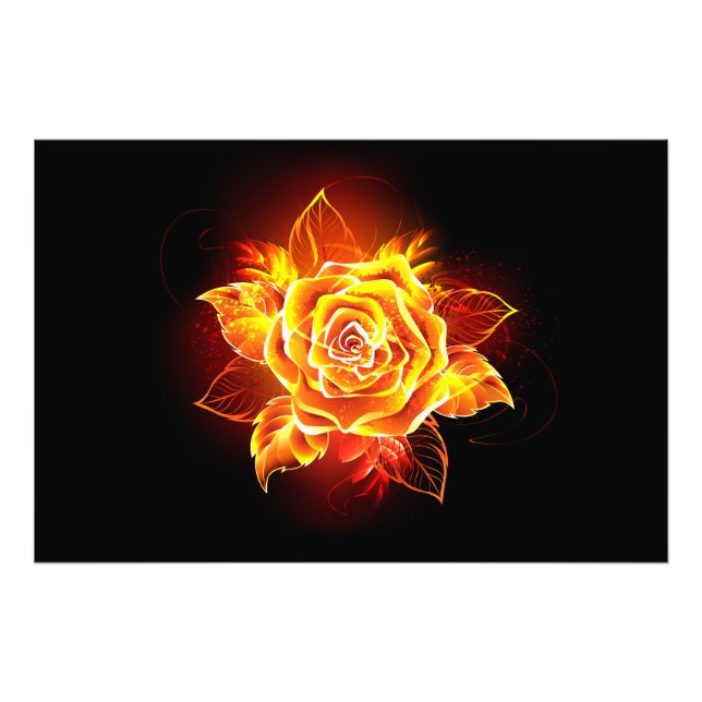 Rose des blühenden Feuers Fotodruck (Vorne)