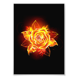 Rose des blühenden Feuers Fotodruck