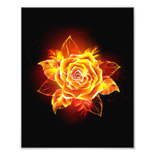 Rose des blühenden Feuers Fotodruck