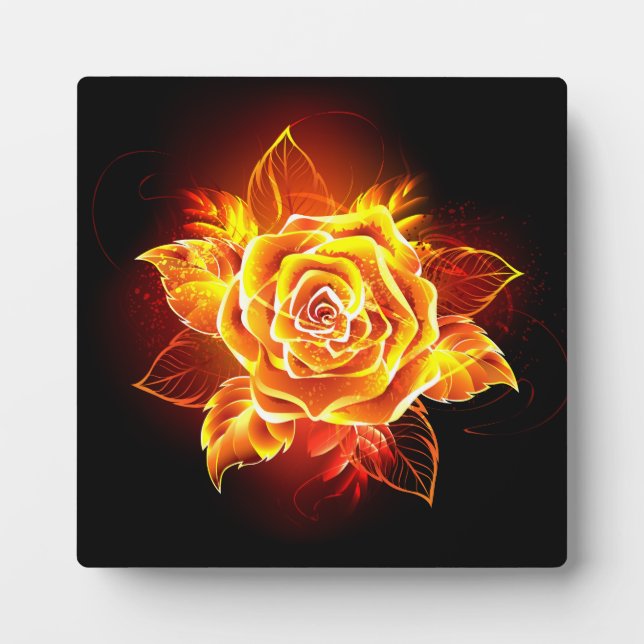Rose des blühenden Feuers Fotoplatte (Vorderseite)