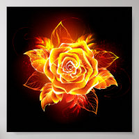 Rose des blühenden Feuers