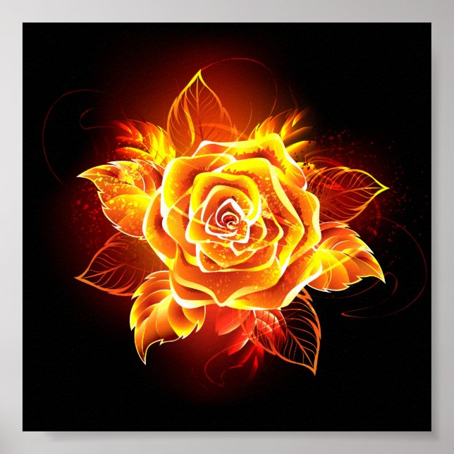 Rose des blühenden Feuers Poster (Vorne)